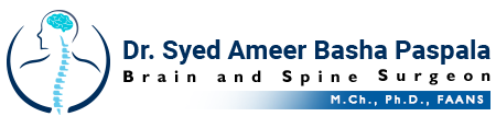 Dr Syed Ameer Basha
